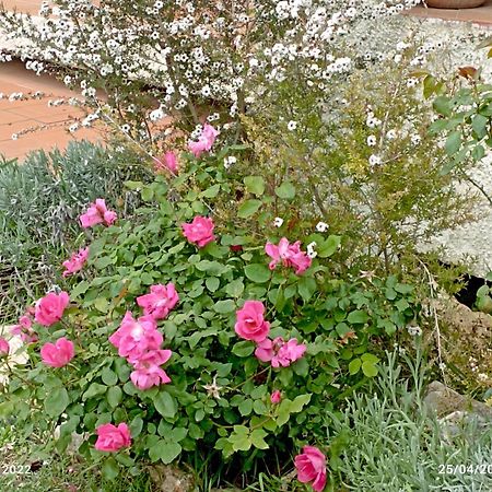 Villa Luna Comeana 外观 照片