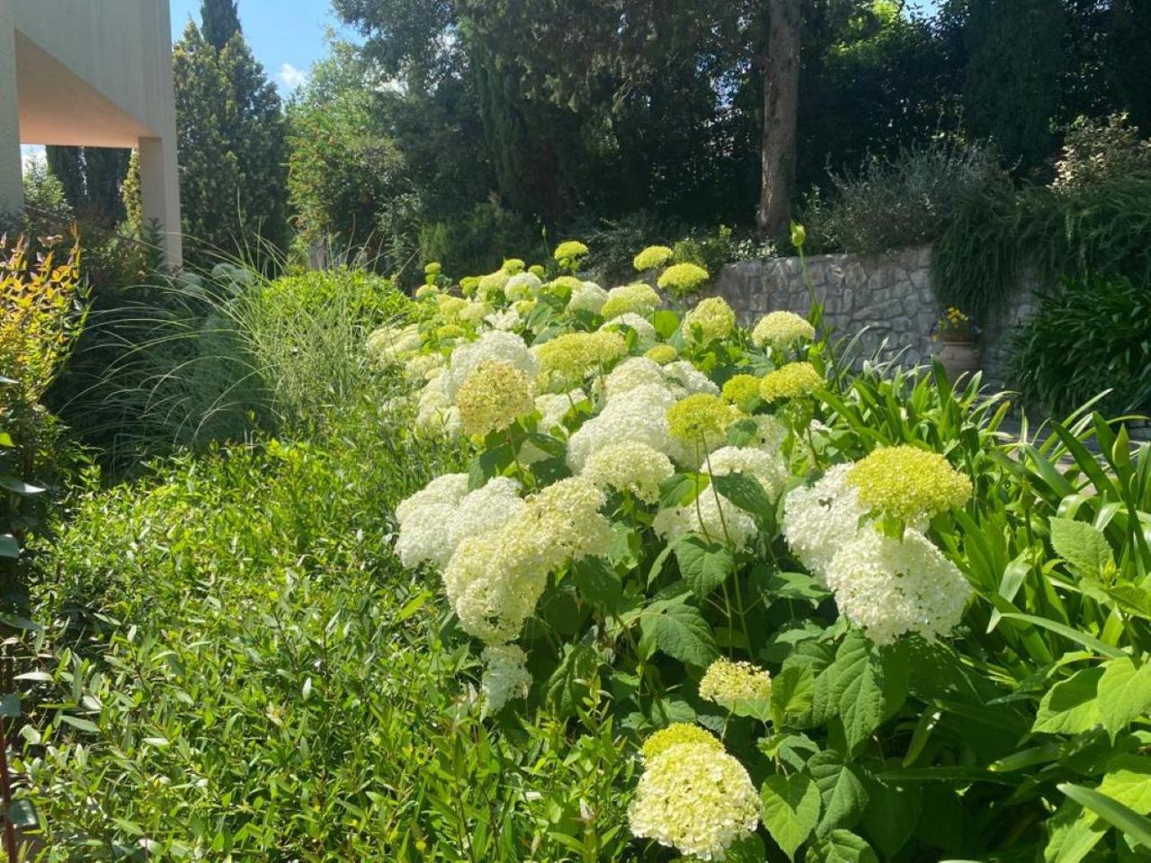 Villa Luna Comeana 外观 照片