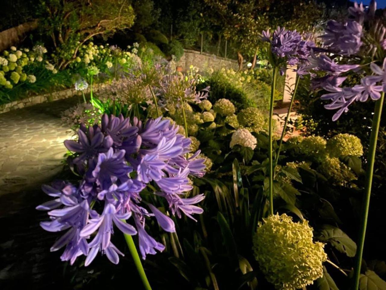 Villa Luna Comeana 外观 照片